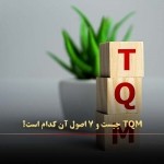 TQM چیست و ۷ اصول آن کدام است؟