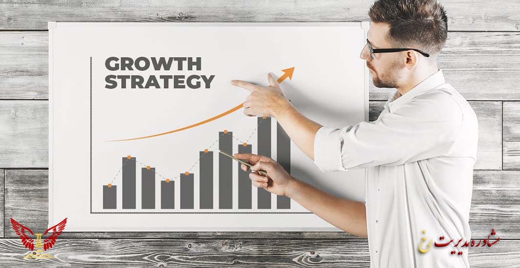 نقش مشاور مدیریت در استراتژی رشد - مشاوره مدیریت رخ