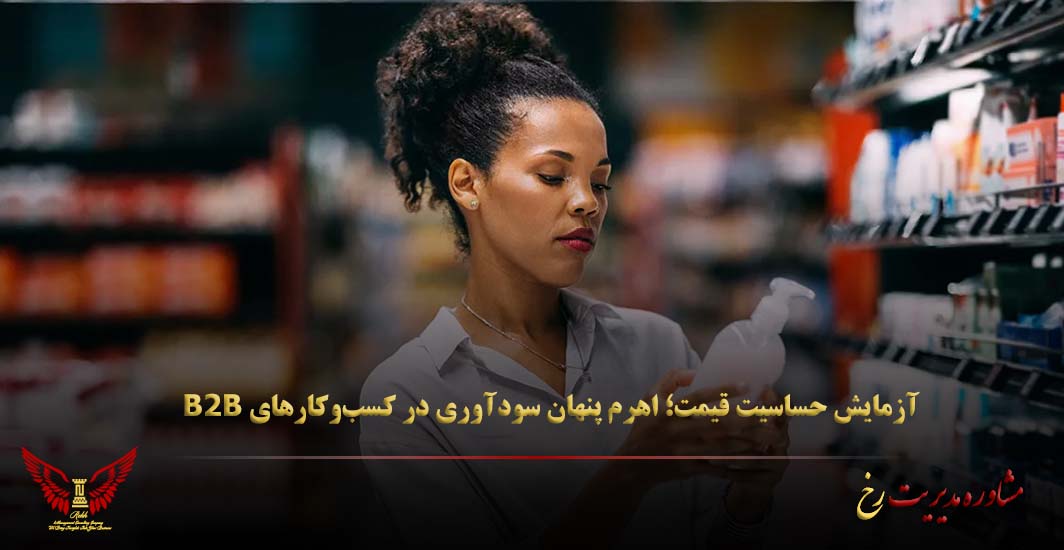 آزمایش حساسیت قیمت؛ اهرم پنهان سودآوری در کسب‌وکارهای B2B - مشاوره مدیریت رخ