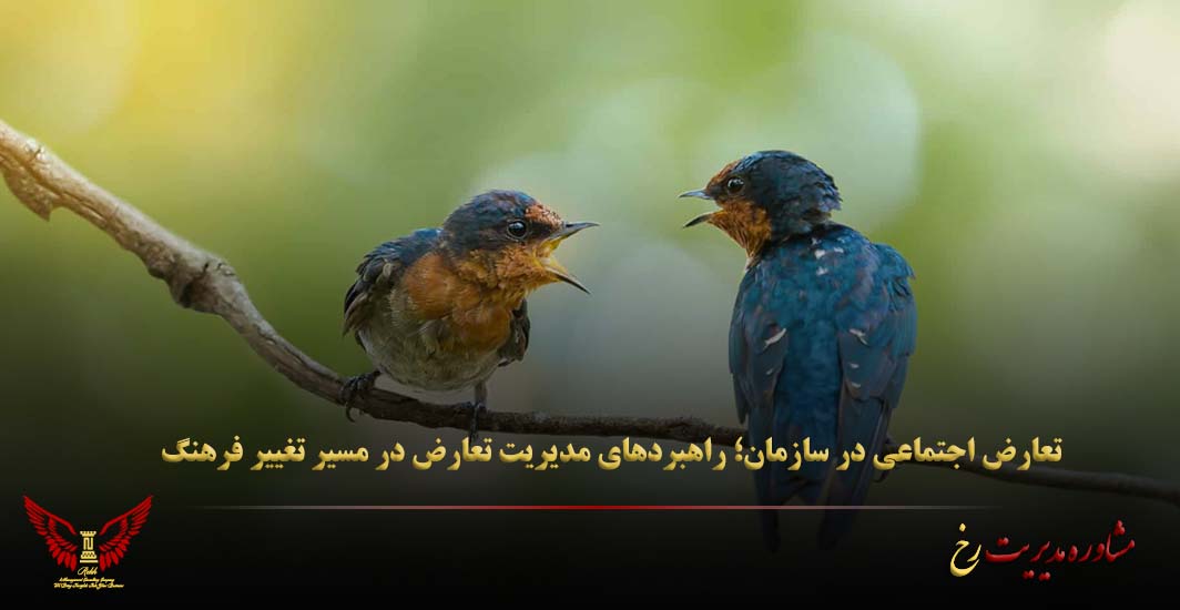 تعارض اجتماعی در سازمان؛ راهبردهای مدیریت تعارض در مسیر تغییر فرهنگ - مشاوره مدیریت رخ